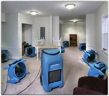 Water Damage Restoration in East Hemet, CA