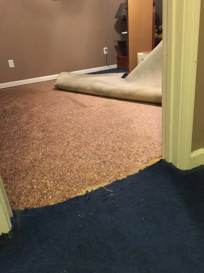 Carpet pad removal revealing water damage during Water Mitigation Services in East Hemet