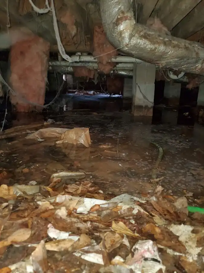 Crawl space flood assessment for Commercial Water Damage Restoration in East Hemet