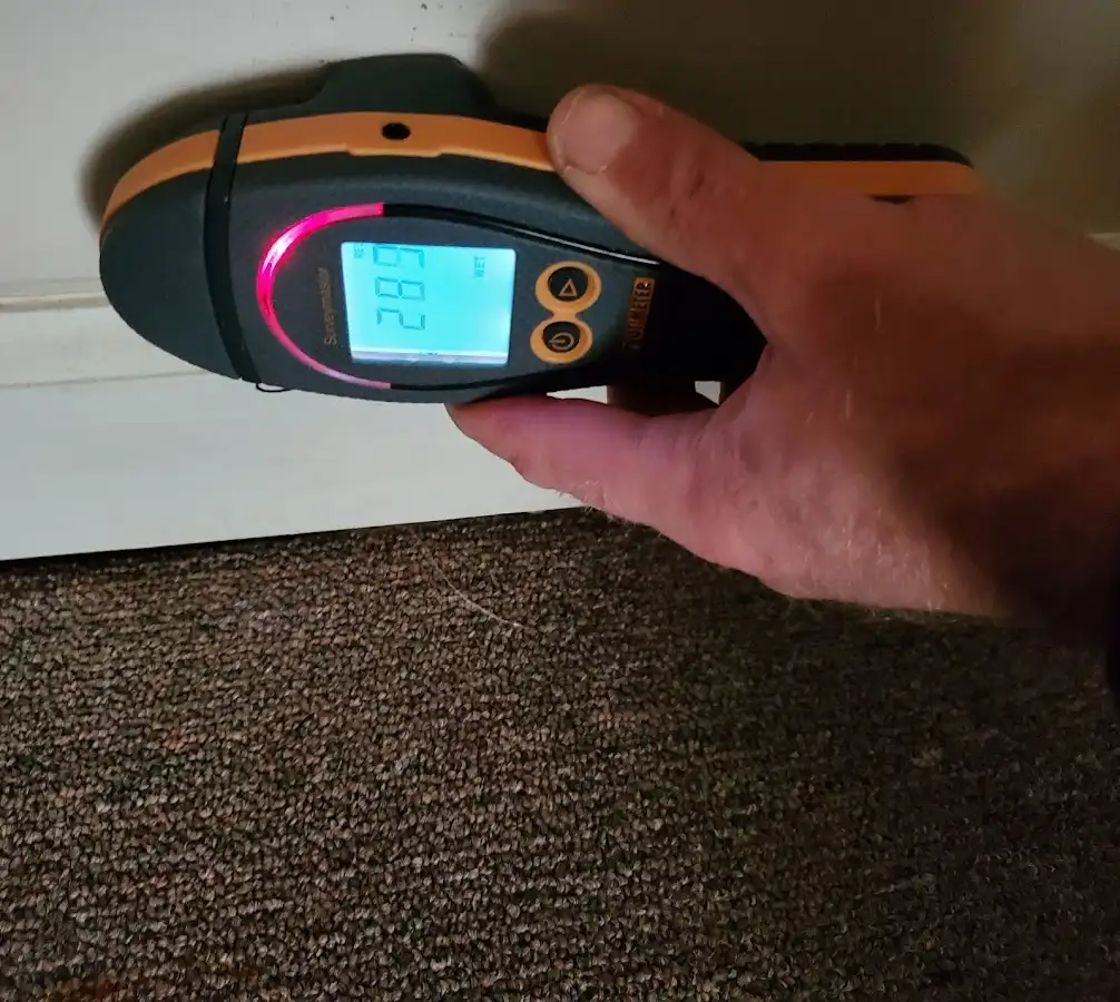 Moisture detection at baseboard during Sewage Cleanup & Sanitation in East Hemet